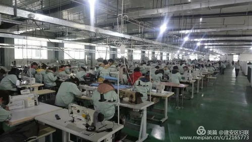 許昌一服裝廠招聘1000余人,縫紉工 文員 設計師等都需要