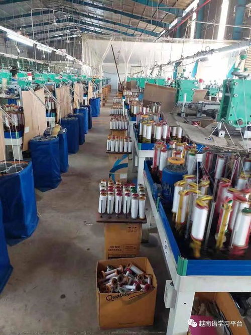 越南平陽省服裝輔料工廠 專業(yè)生產(chǎn)針織松緊帶 鞋帶 提花帶等產(chǎn)品